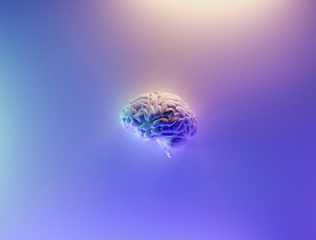 Poda Sináptica: Uma reestruturação neuronal